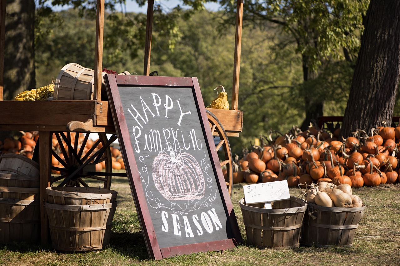 Pumpkin Patch in New Jersey: Crisp Autumn Days in Garden State Fields