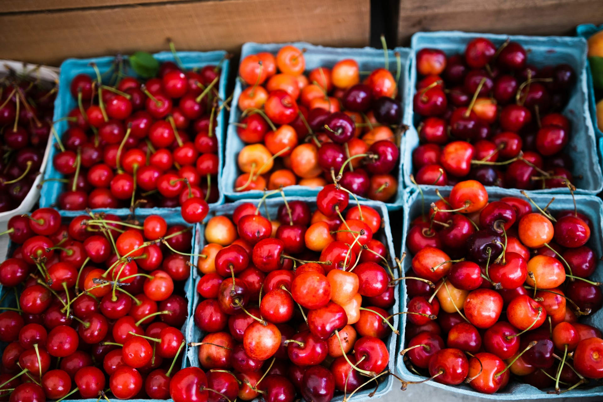 Blake's Orchard & Cider Mill