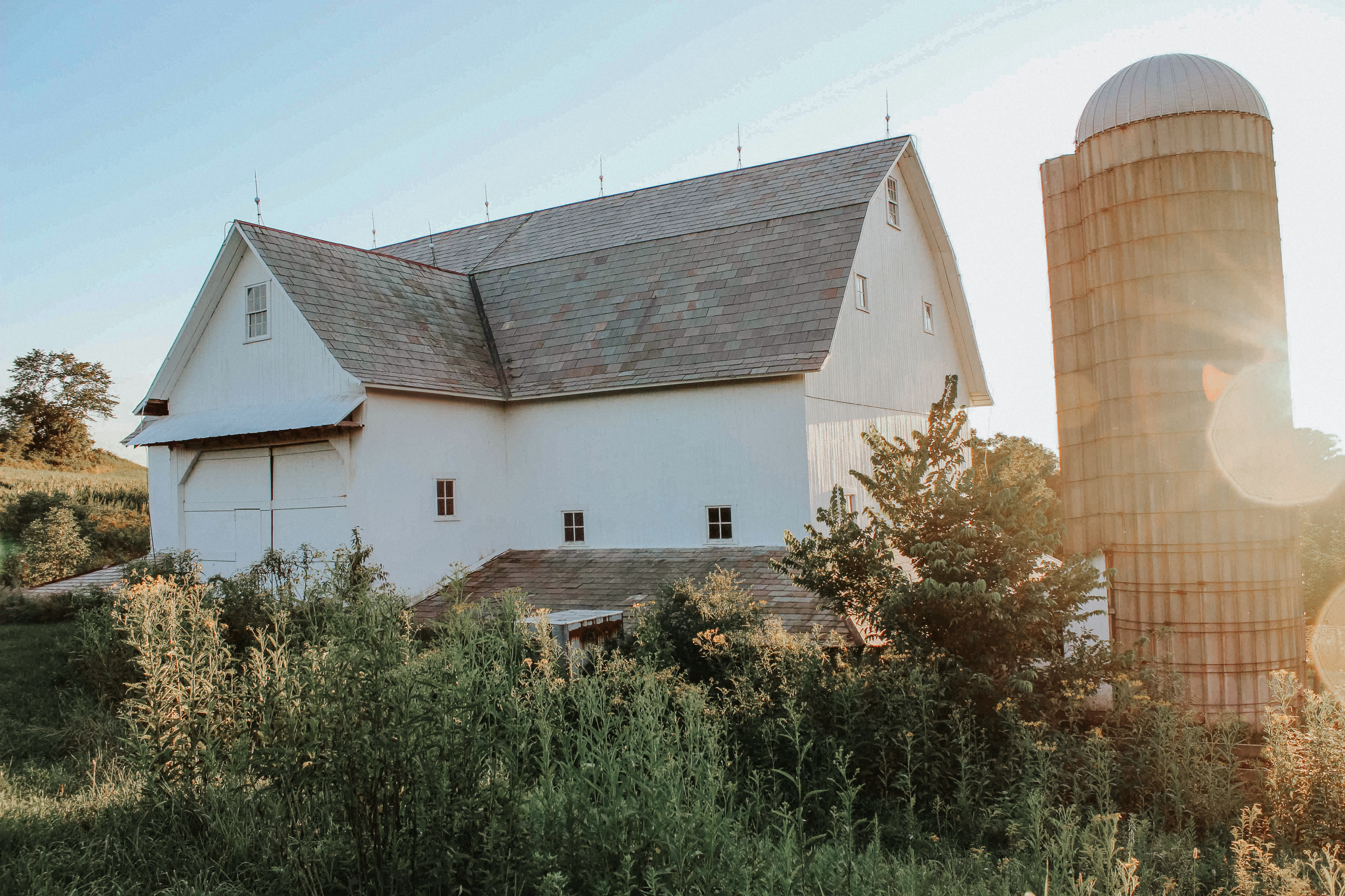 McKee Farm