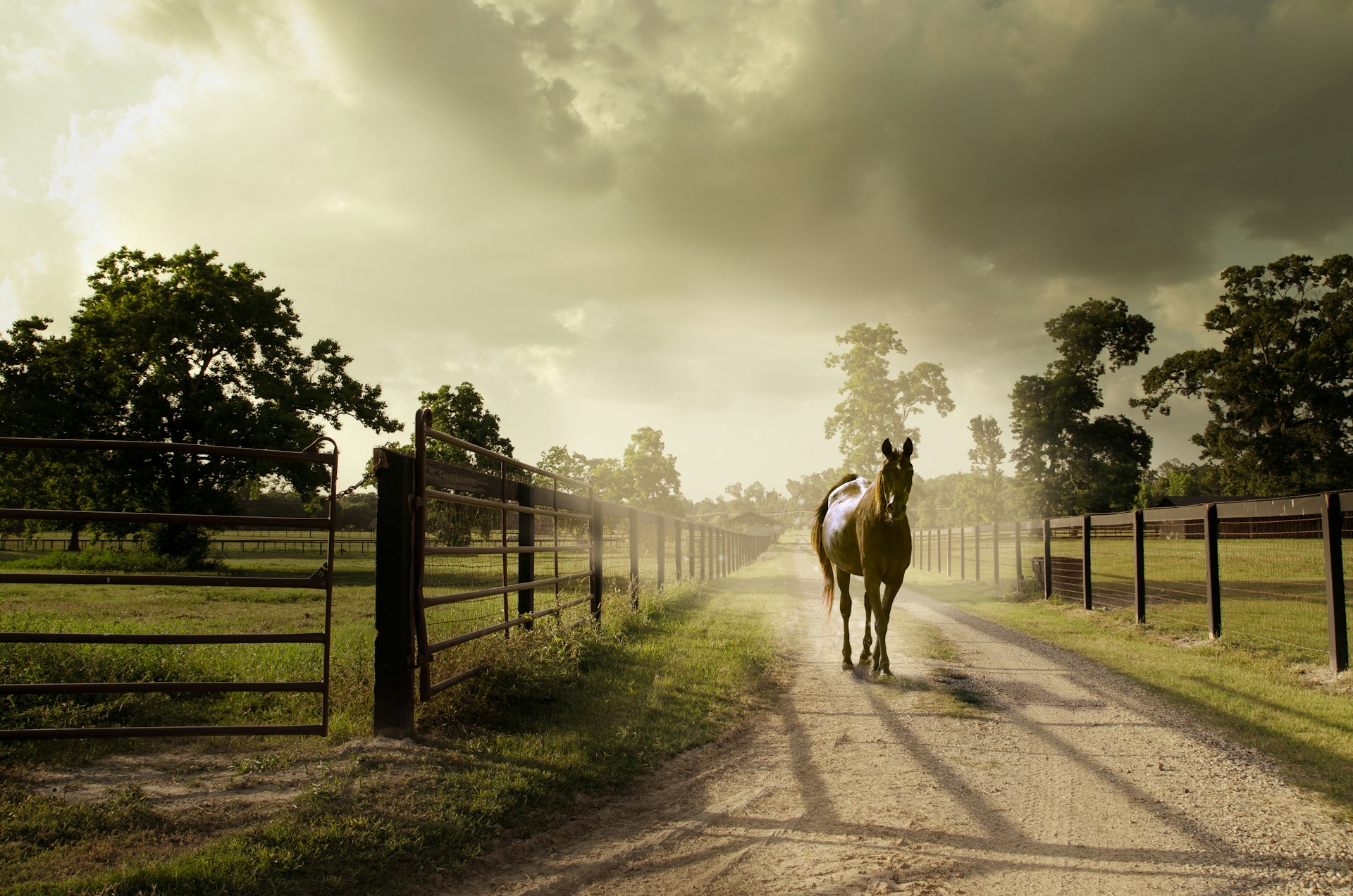 Penmerryl Farm