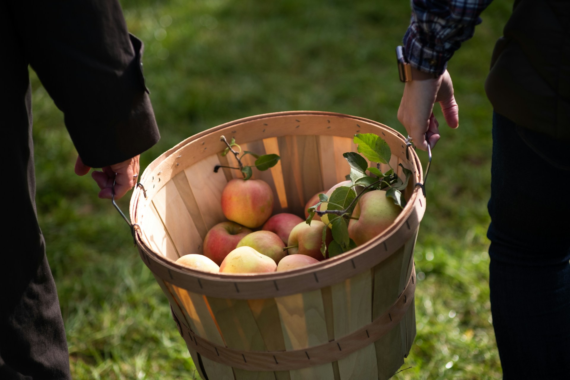 Arbor Day Farm