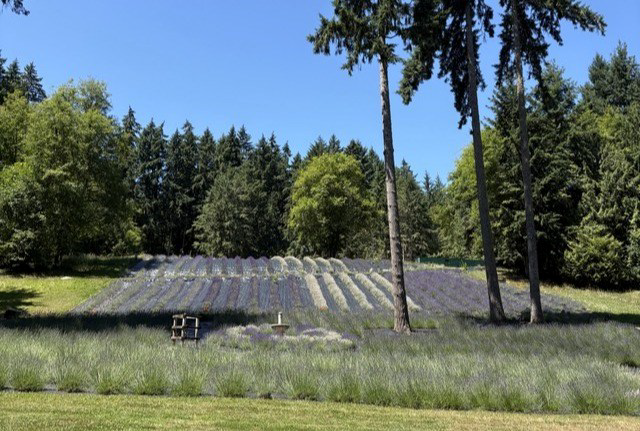 Astrid's Lavender Farm LLC