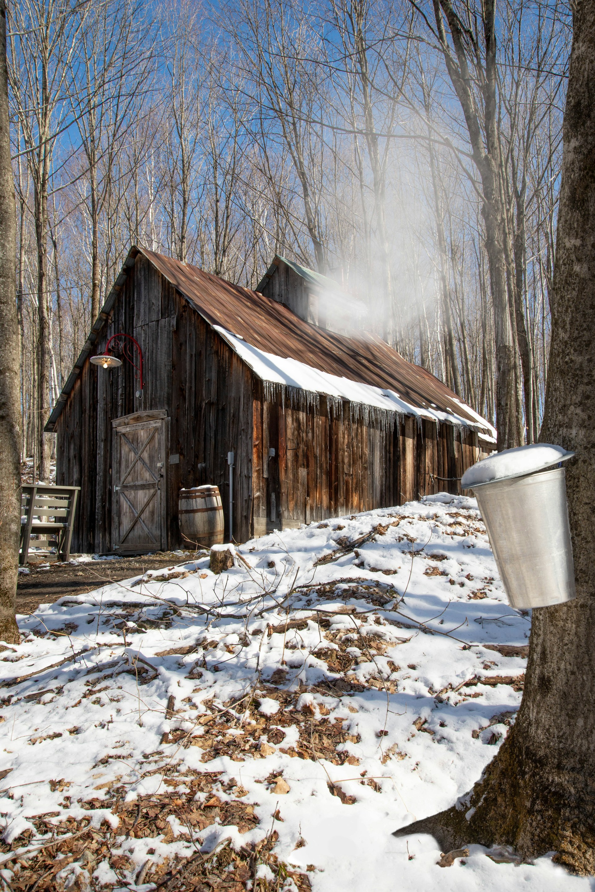 North Hadley Sugar Shack