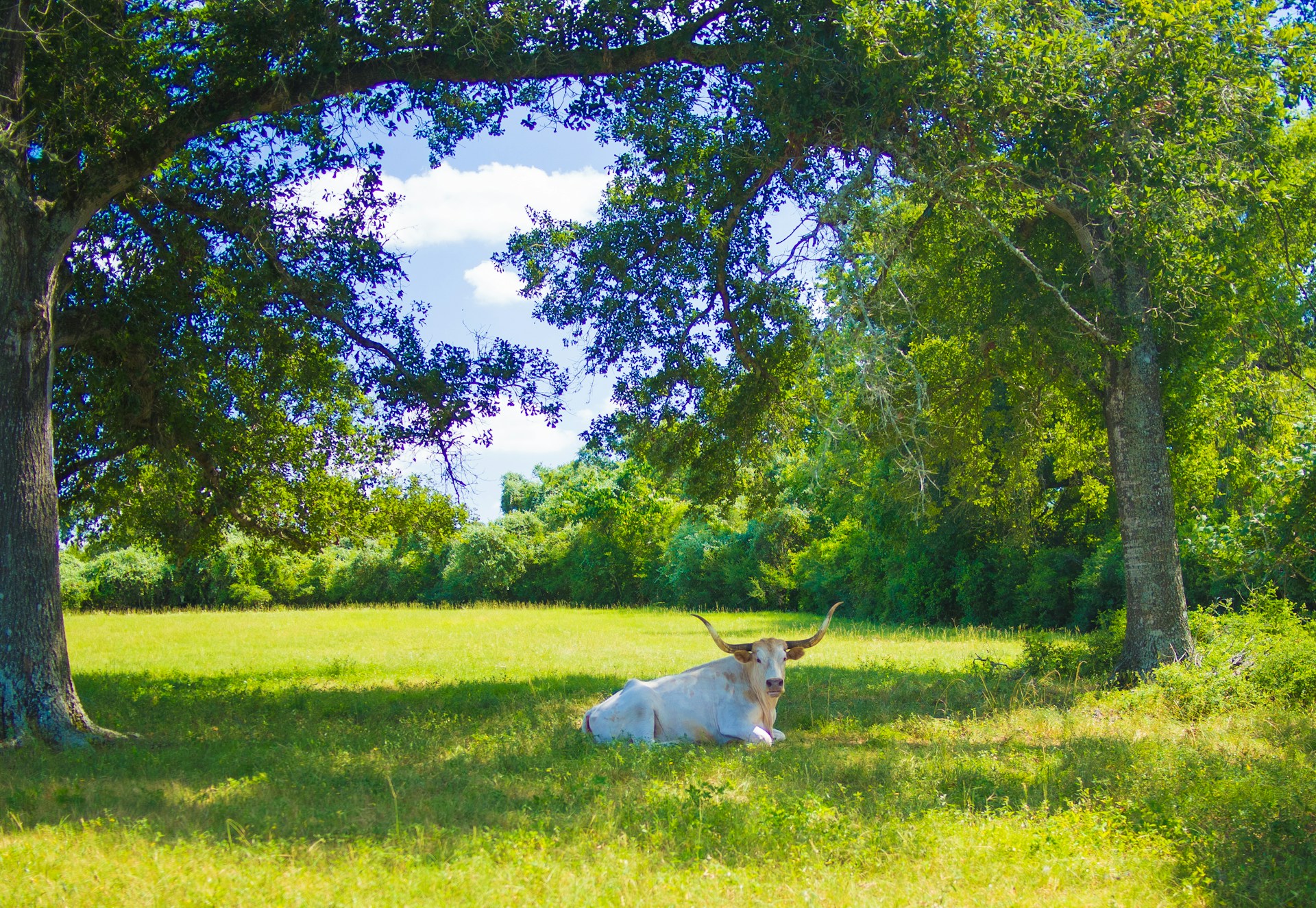 Our Texas Ranch