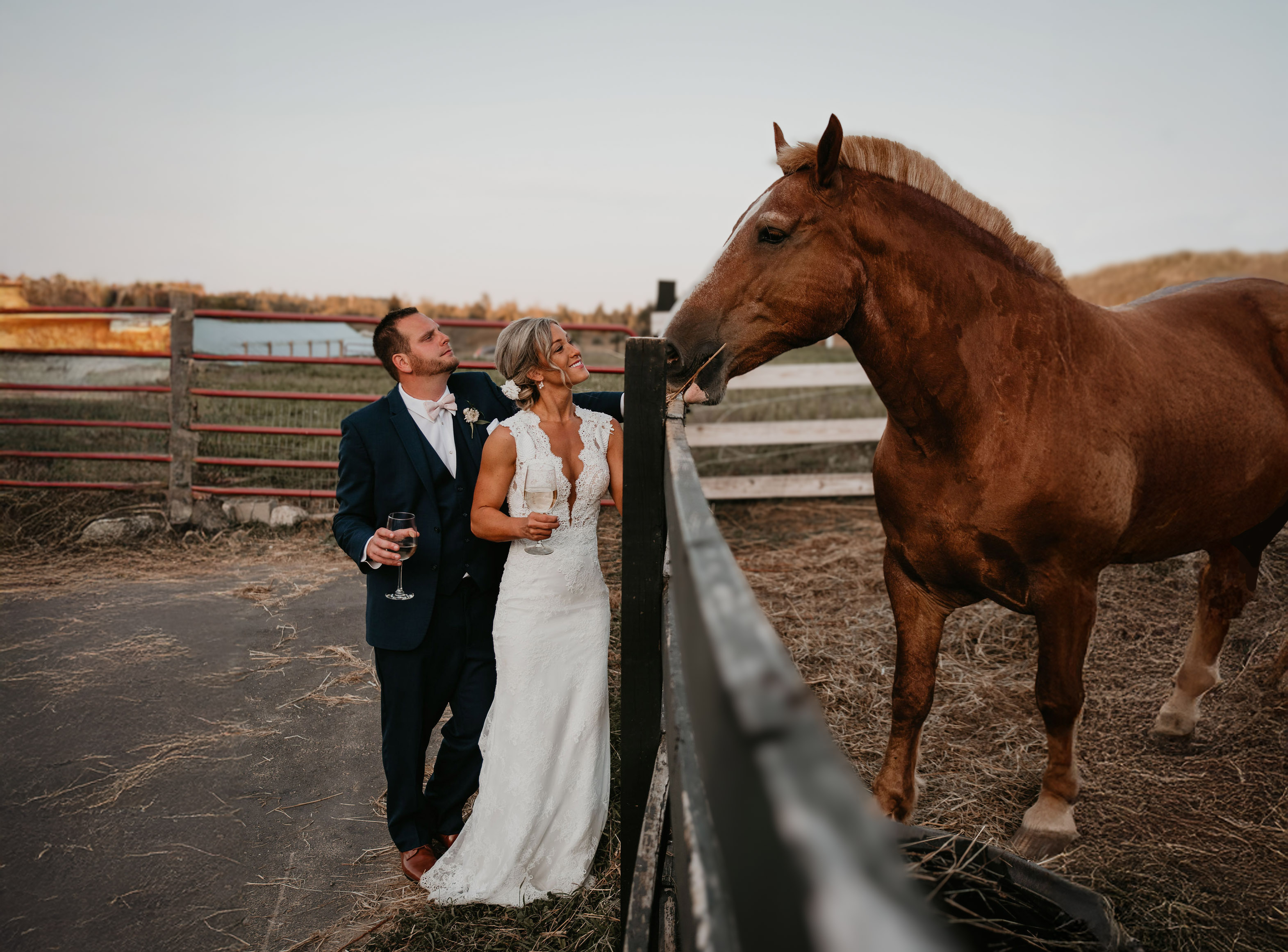 Black Star Farms Winery & Inn