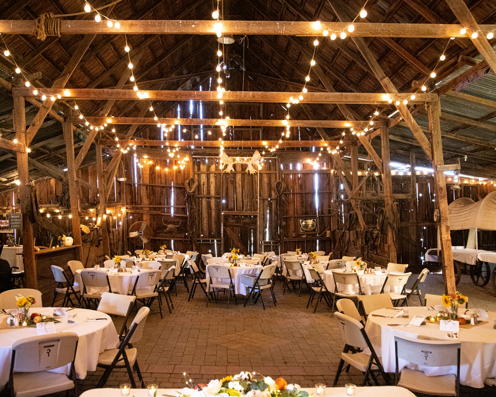 Elysian Hills Tree Farm