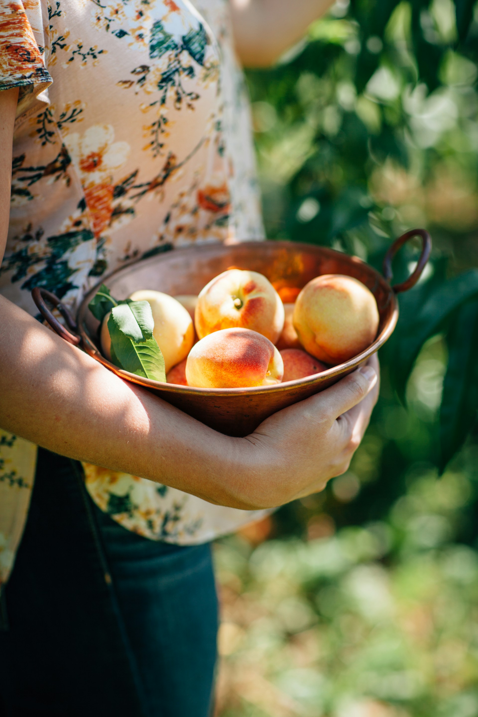 Southern Belle Farm