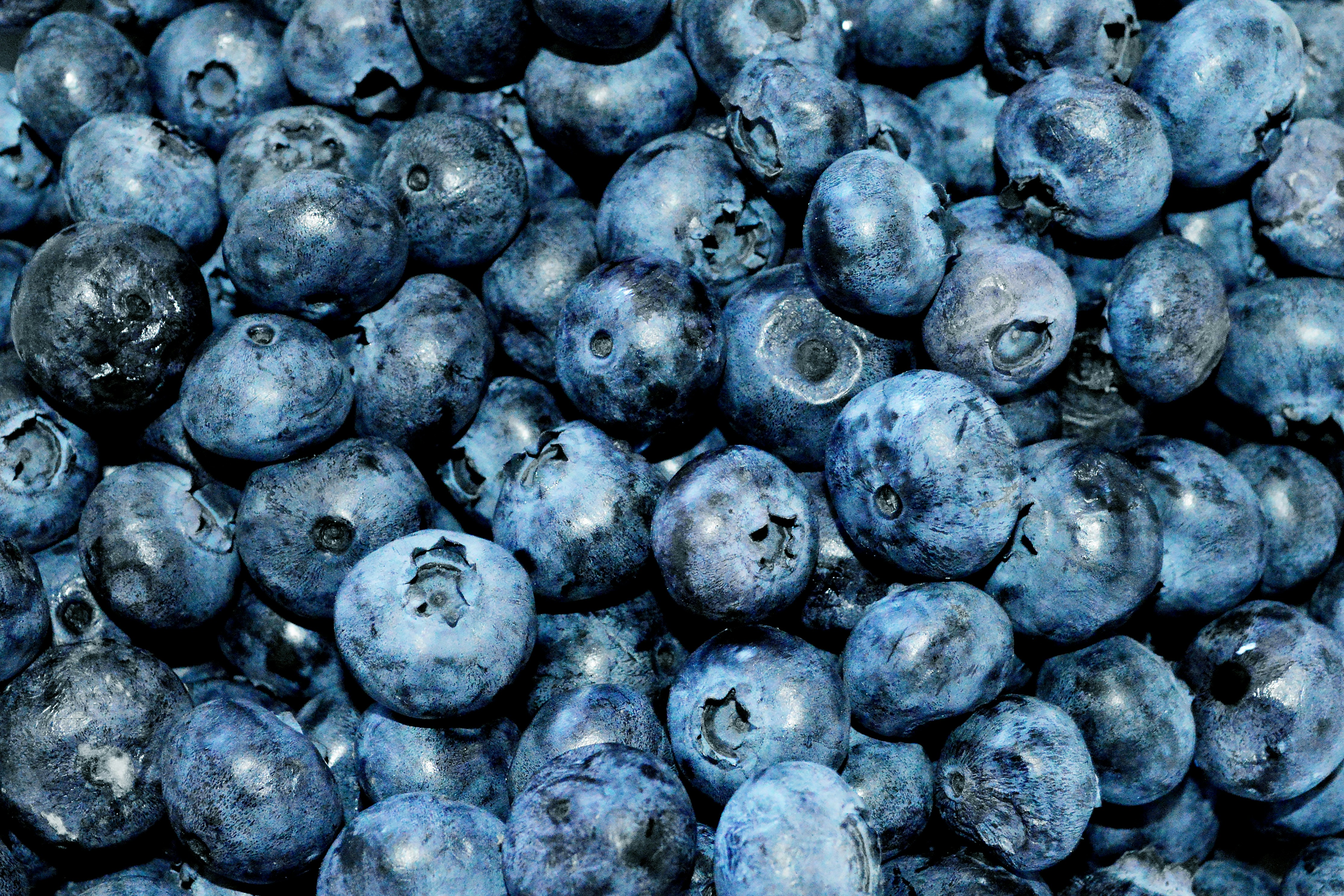 Dutton Berry Farm