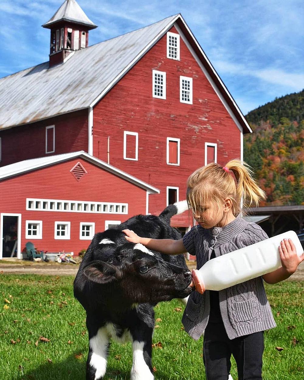 Liberty Hill Farm