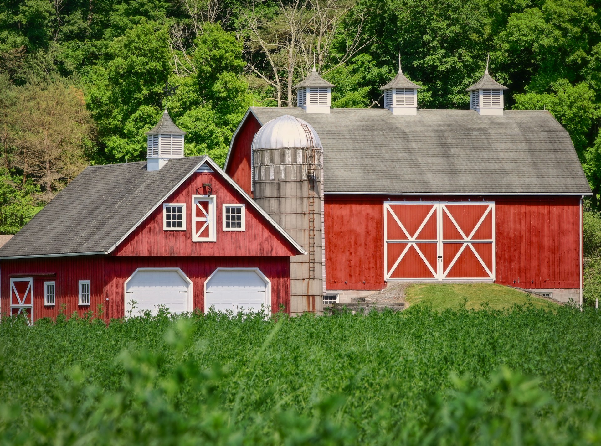 Little House on the Farm