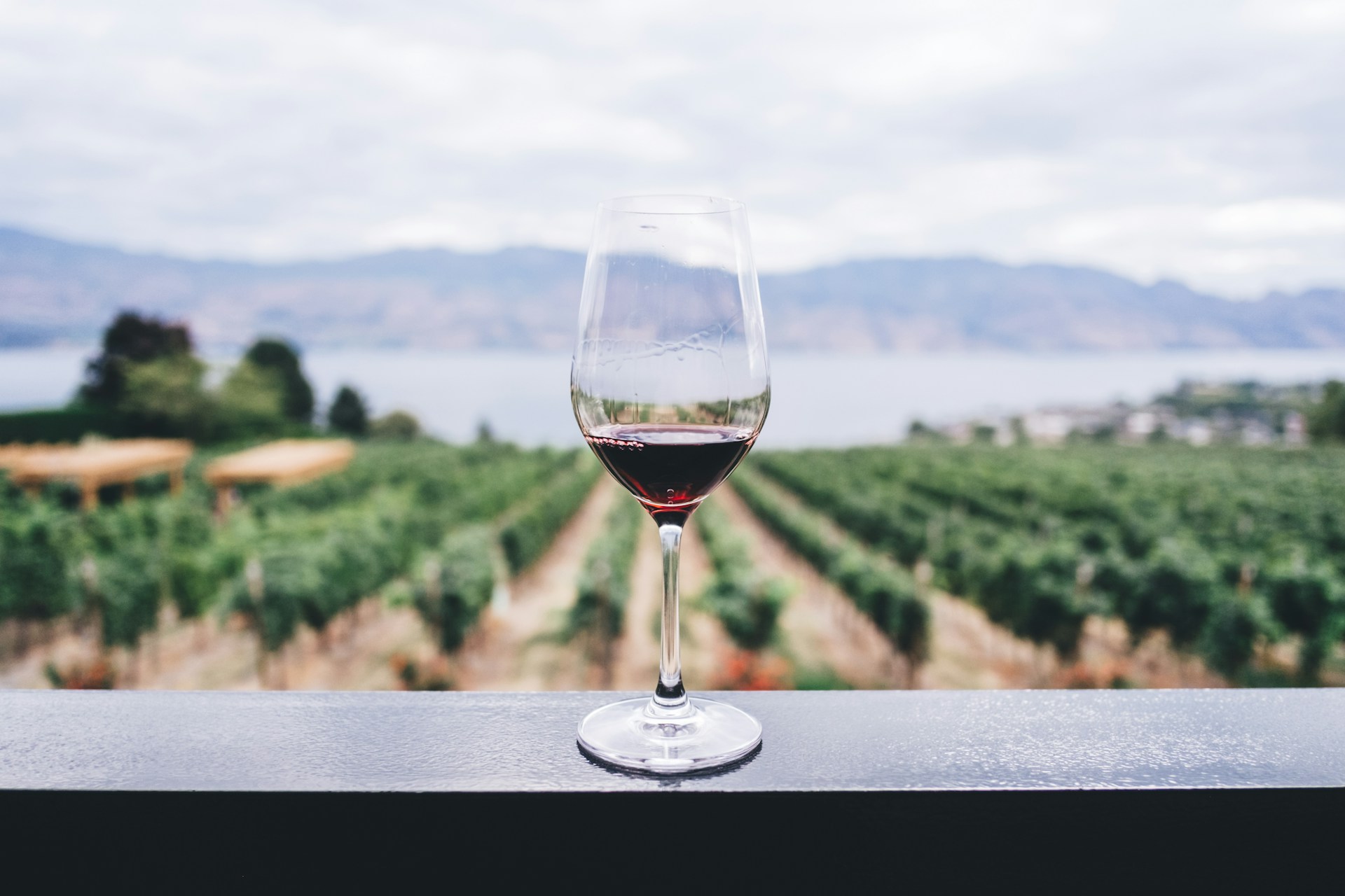 Lincoln Peak Vineyard